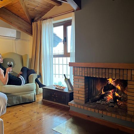 Anemolia Mountain Resort Arachova Luaran gambar